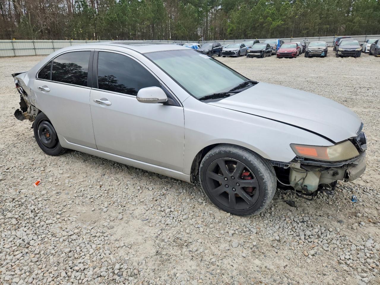 2004 Acura Tsx - Фото 4