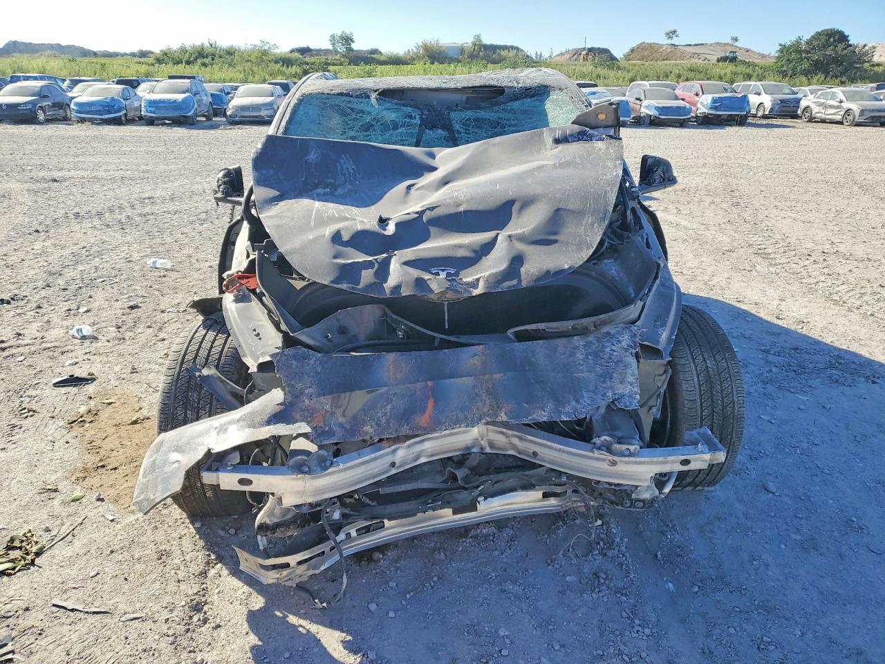 2024 Tesla Model Y - Image 5