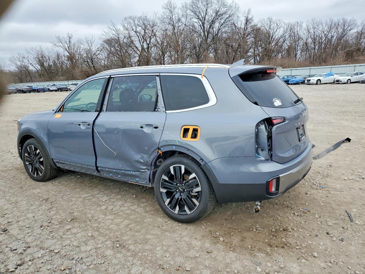 2025 Kia Telluride Sx - Фото 2