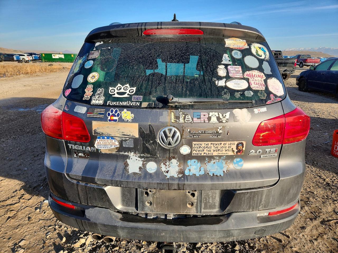2015 Volkswagen Tiguan S - Фото 6