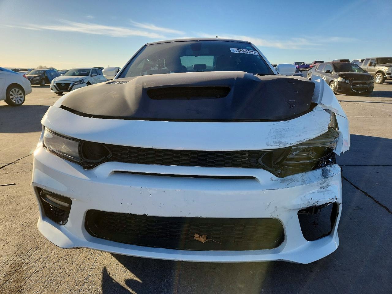 2019 Dodge Charger Srt Hellcat - Фото 5