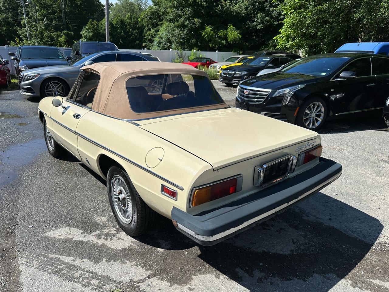 1982 Alfa Romeo Veloce 2000 Spider - Image 3