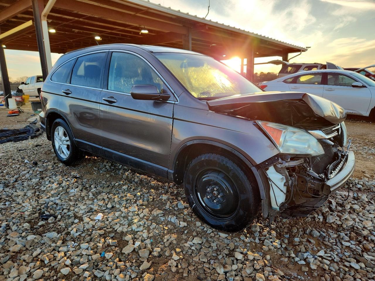 2010 Honda Cr-V Exl - Image 4