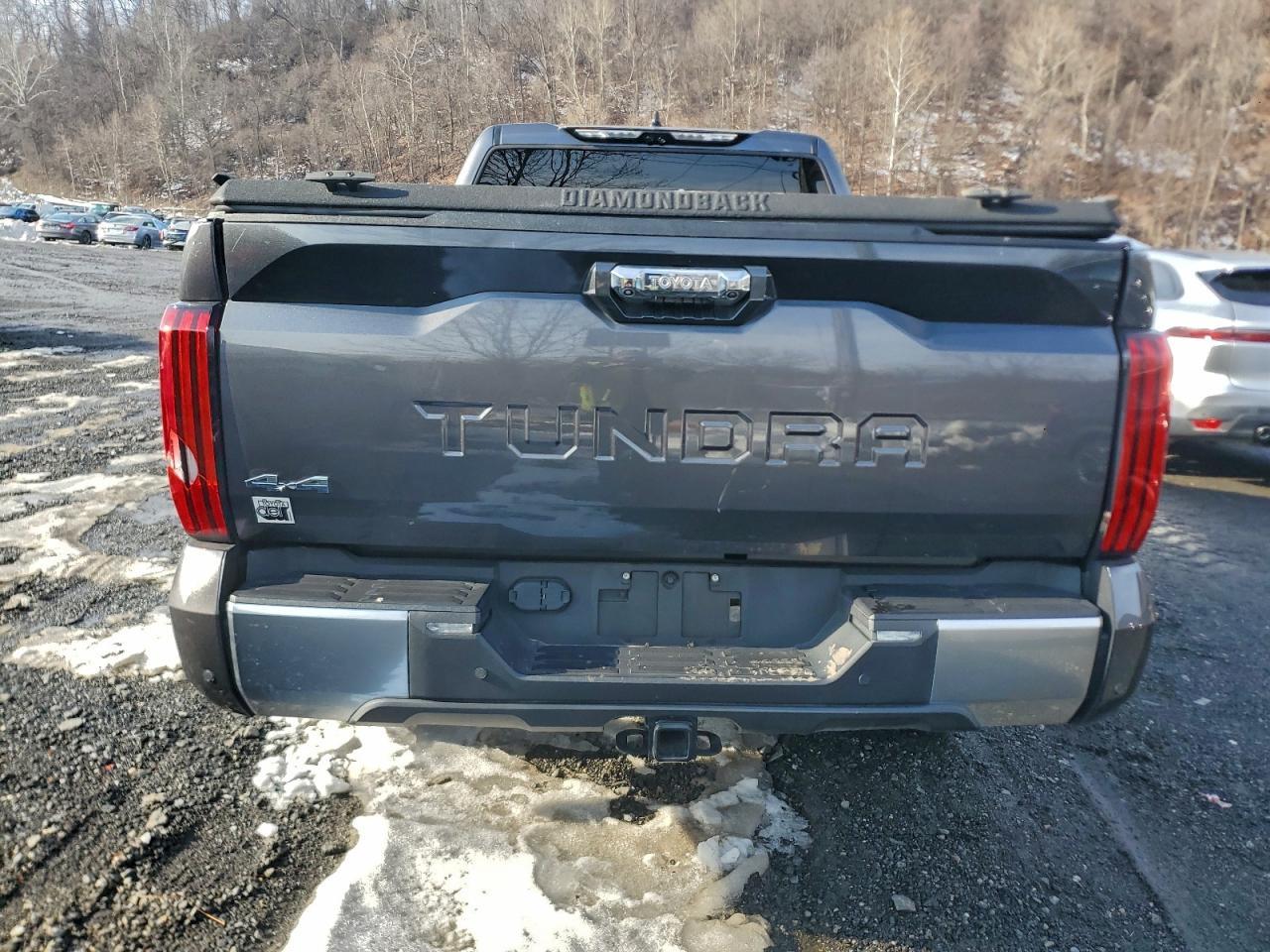 2023 Toyota Tundra Crewmax Limited - Фото 6