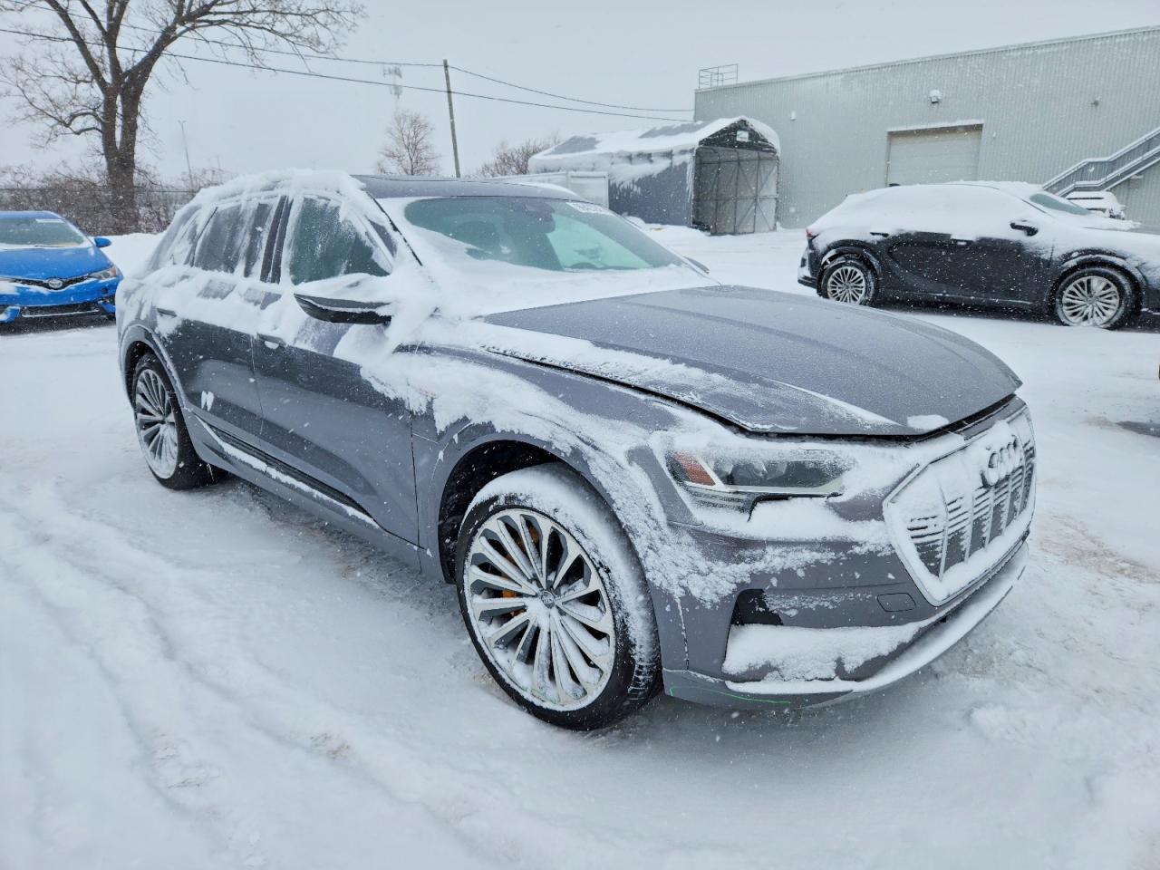 2019 Audi E-Tron Prestige - Фото 4