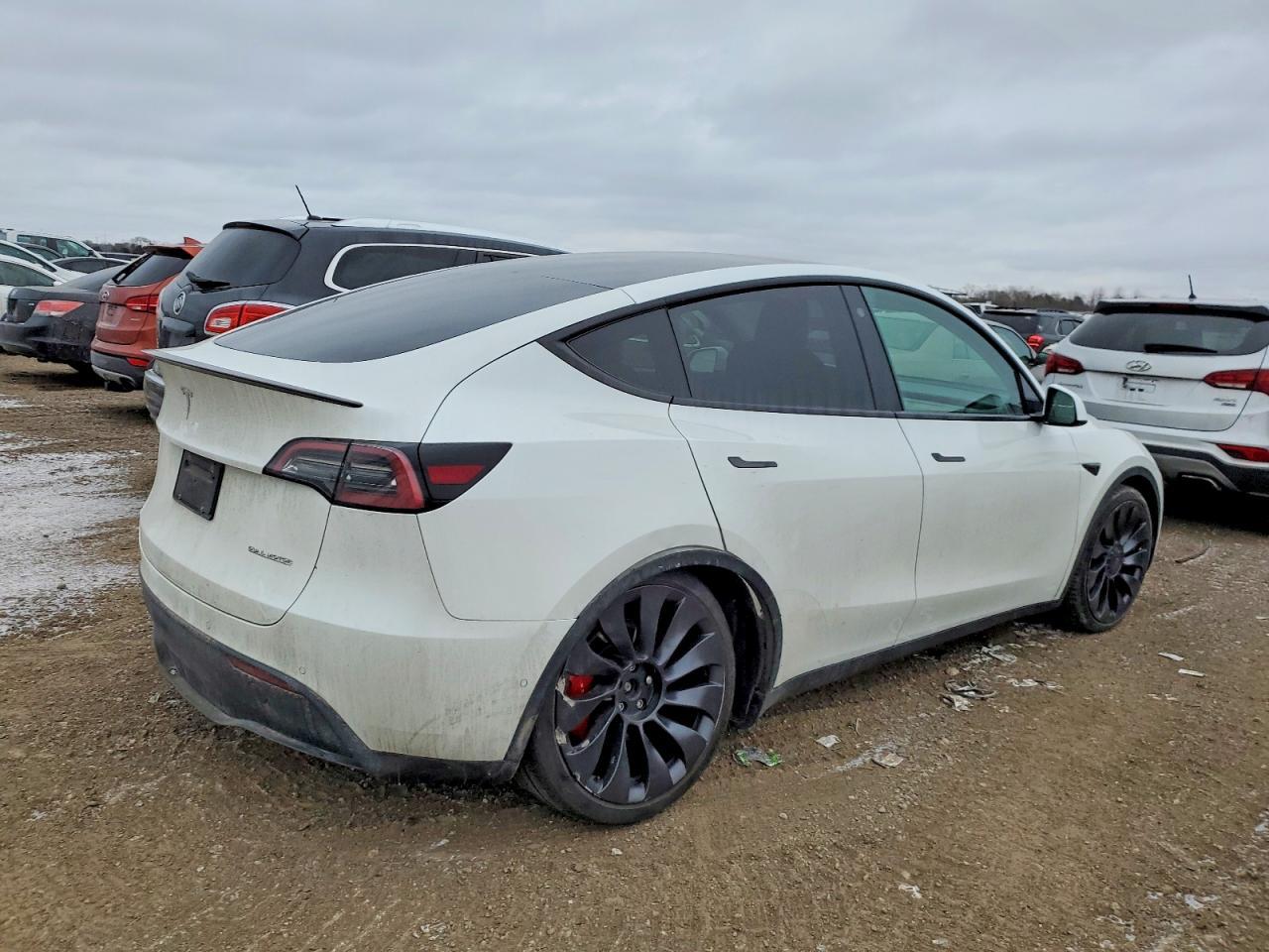 2021 Tesla Model Y - Фото 3