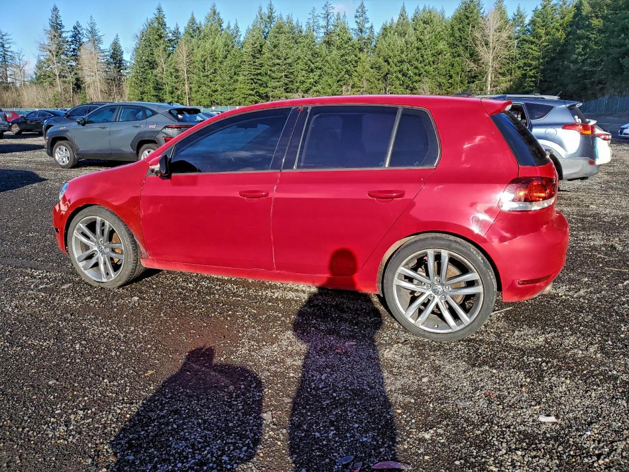 2013 Volkswagen Golf - Фото 2