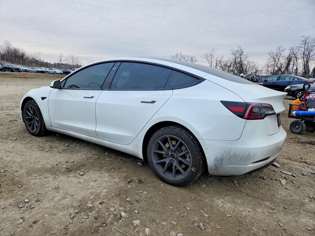 2022 Tesla Model 3 - Фото 2
