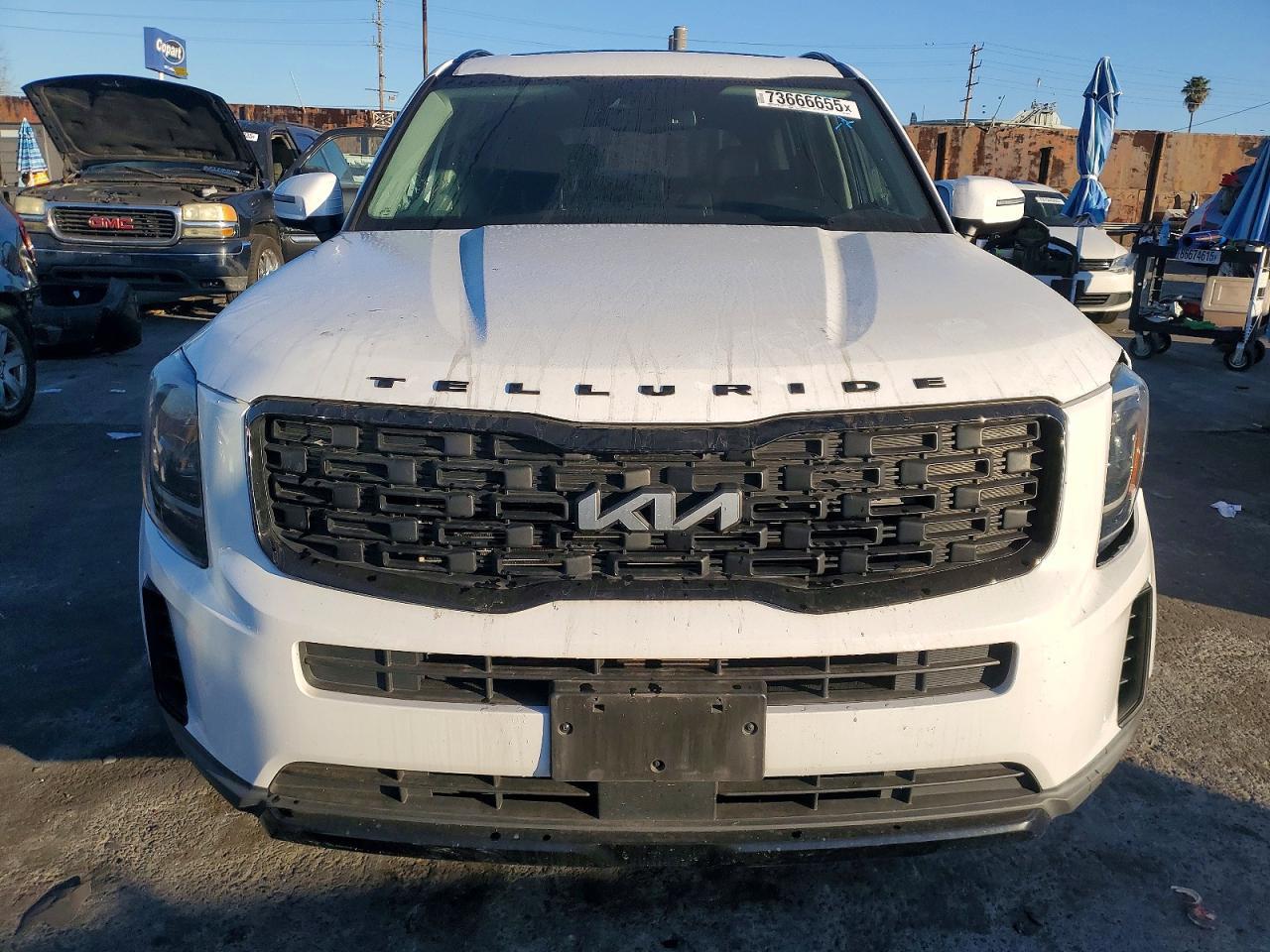 2022 Kia Telluride Ex - Image 5