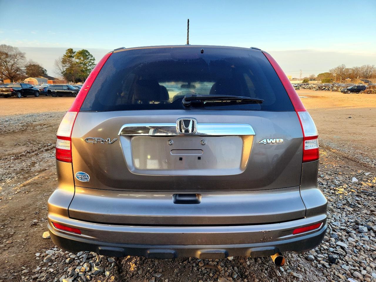 2010 Honda Cr-V Exl - Image 6