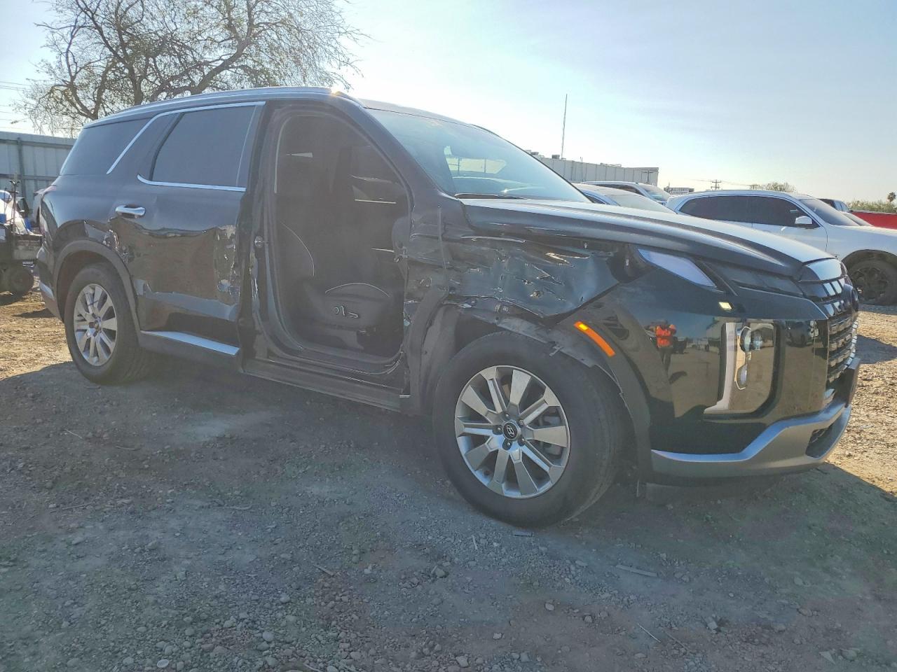 2024 Hyundai Palisade Sel - Фото 4