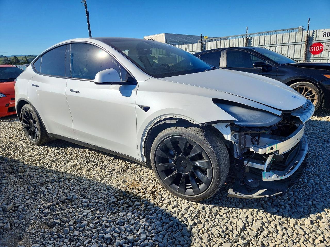 2021 Tesla Model Y - Фото 4
