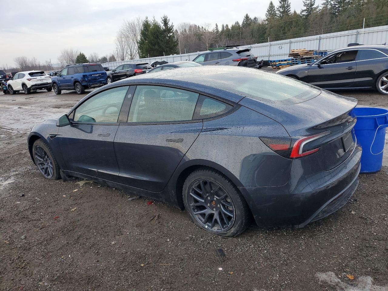 2024 Tesla Model 3 - Фото 2