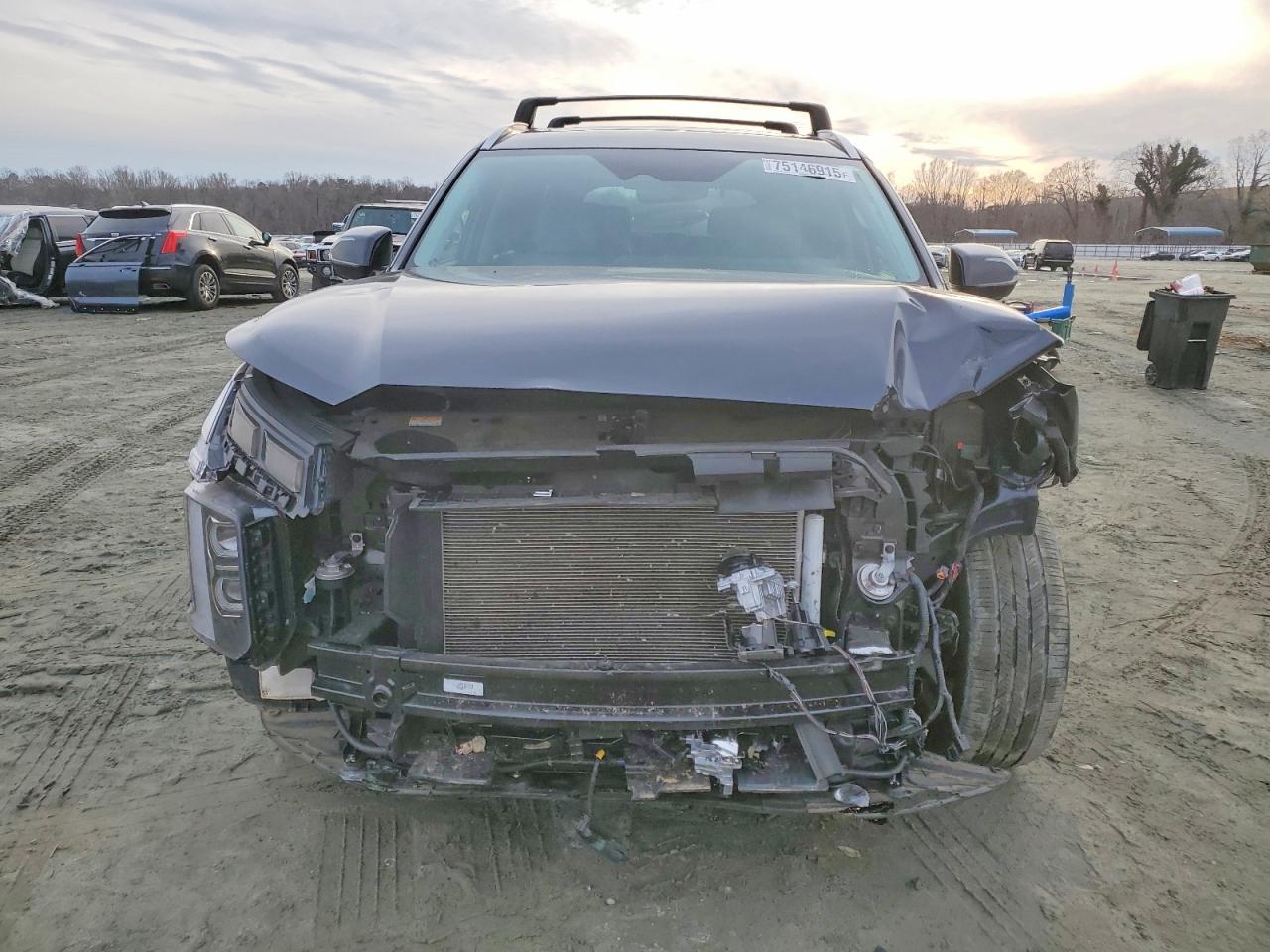 2024 Hyundai Palisade Sel Premium - Фото 5