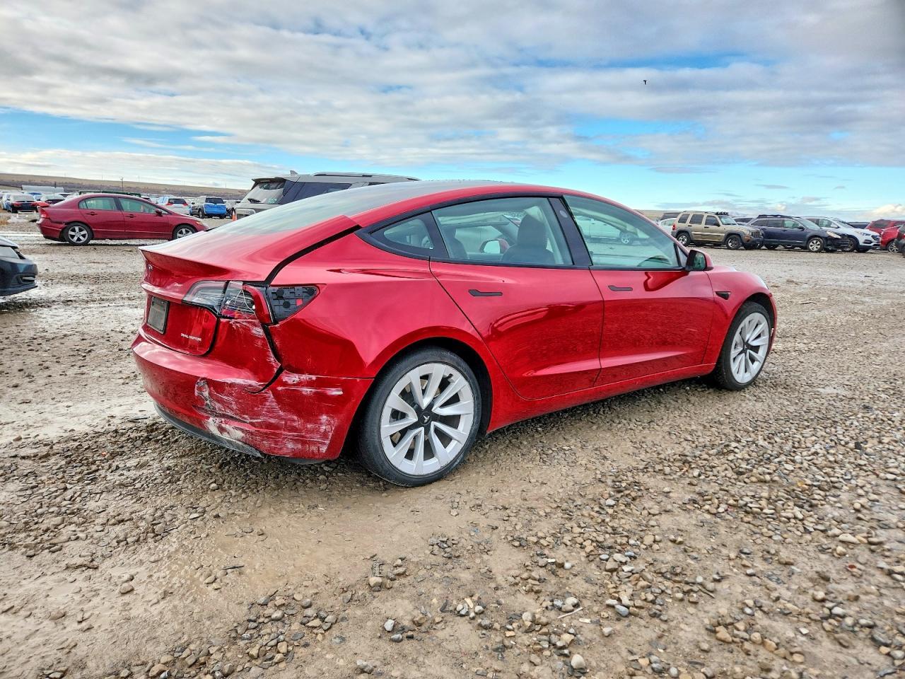 2021 Tesla Model 3 - Фото 3