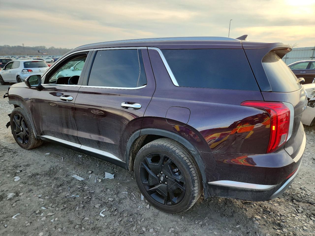 2024 Hyundai Palisade Sel Premium - Фото 2