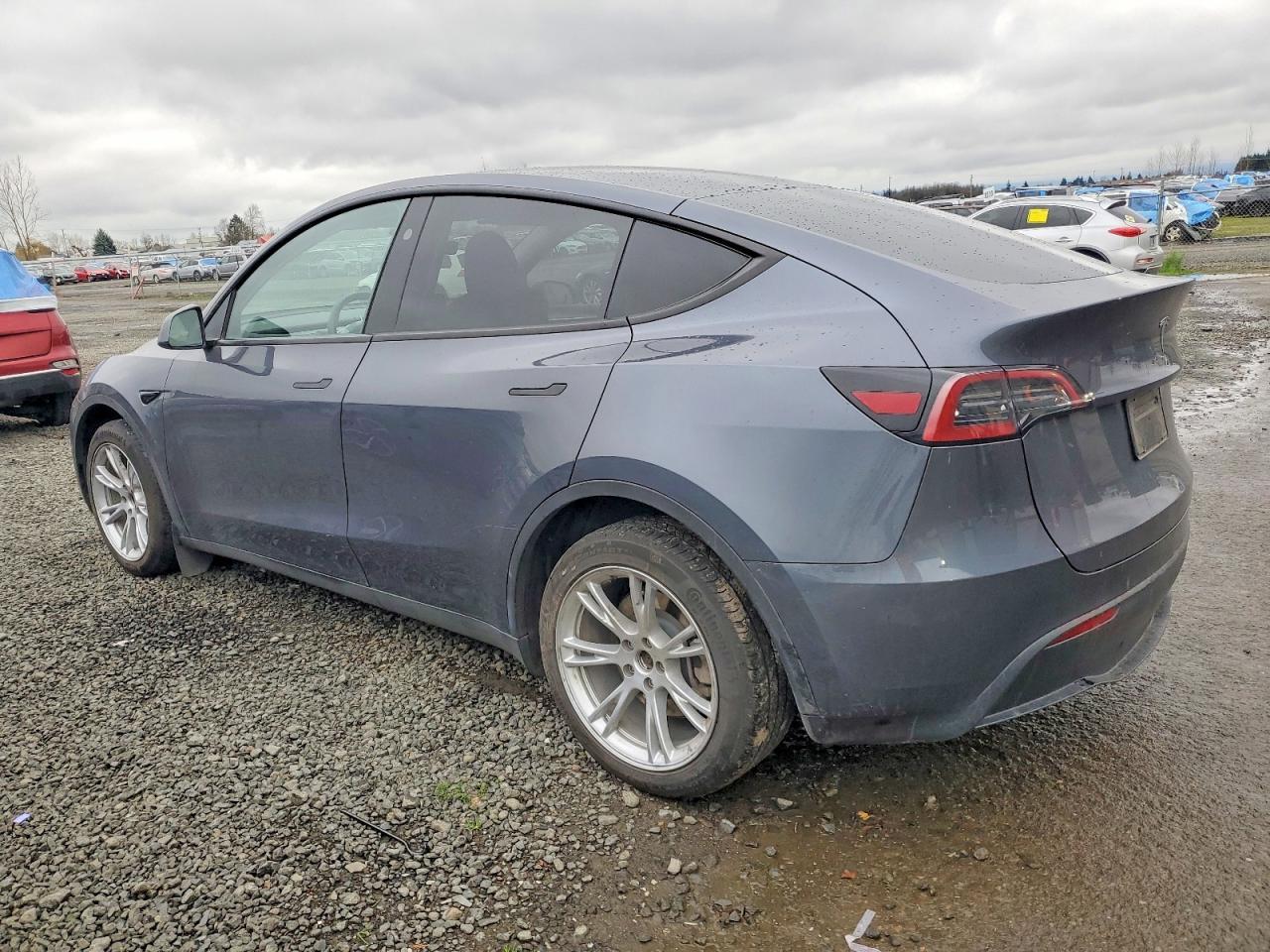 2023 Tesla Model Y - Фото 2