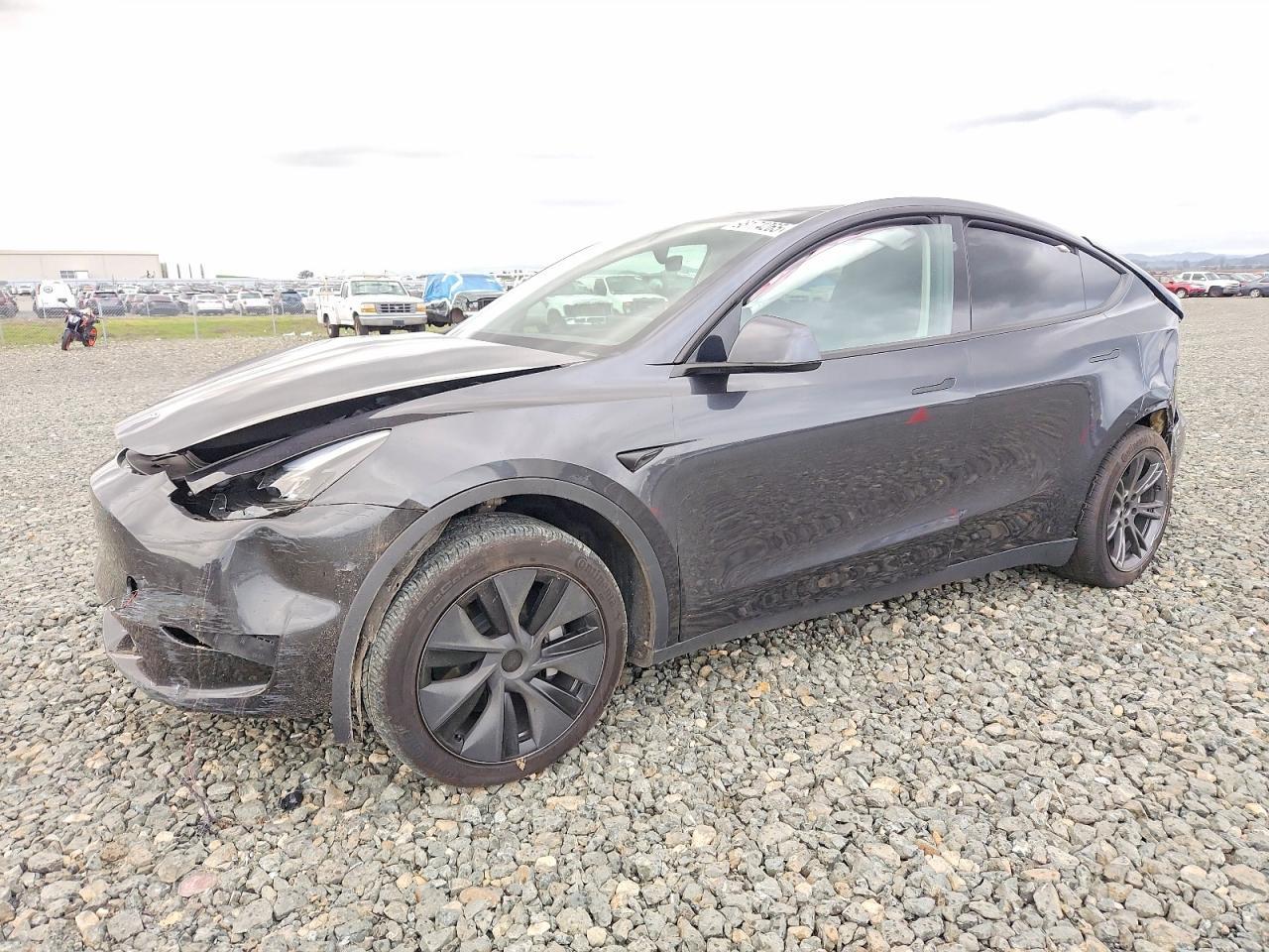 2025 Tesla Model Y