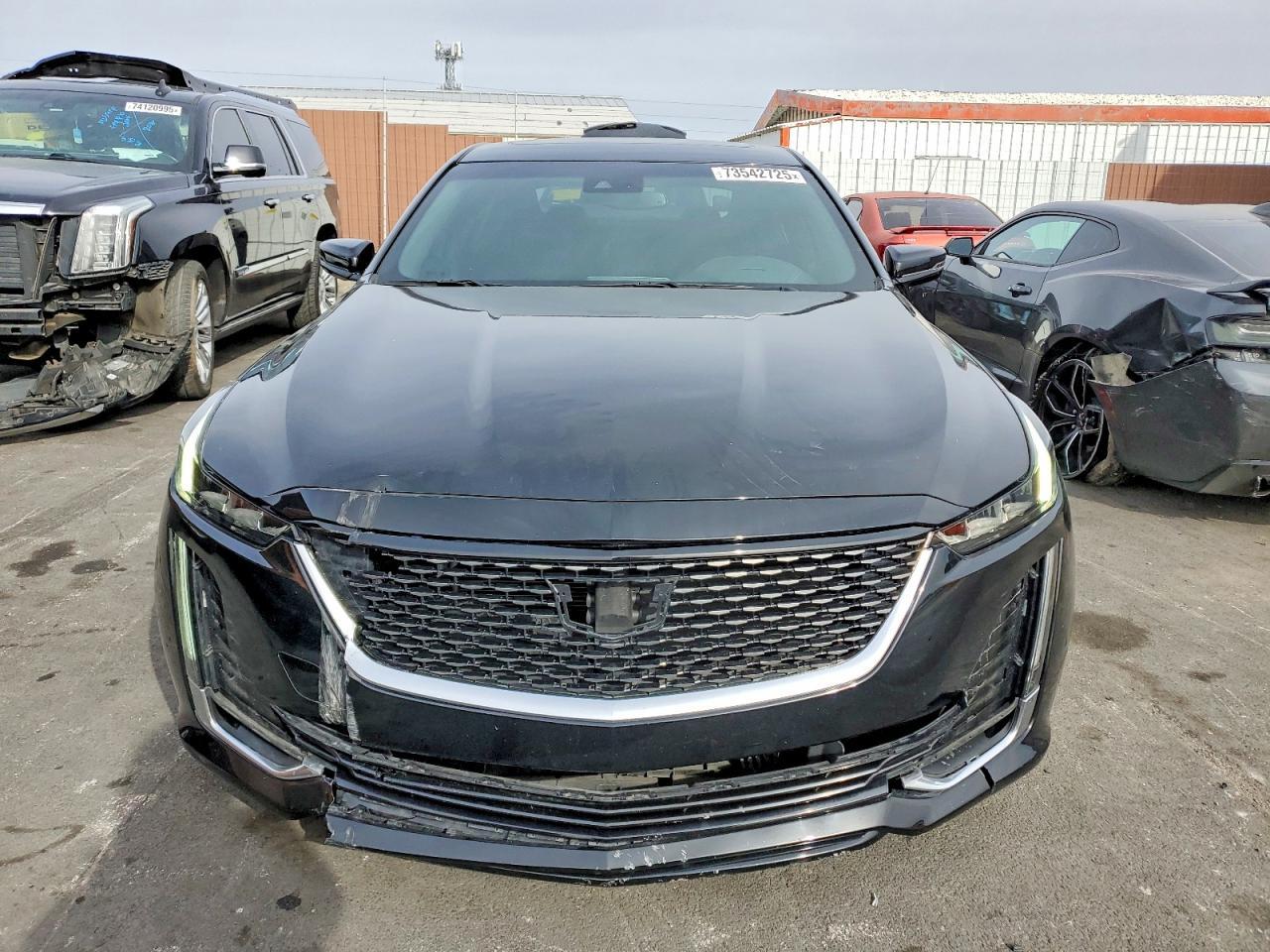 2021 Cadillac Ct5 Premium Luxury - Image 5