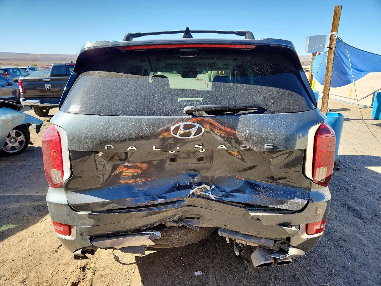 2022 Hyundai Palisade Calligraphy - Фото 6