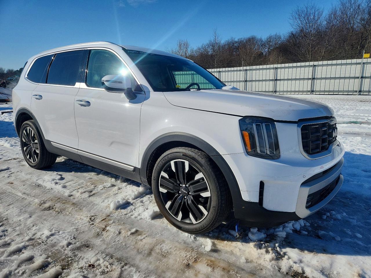 2024 Kia Telluride Sx - Фото 4