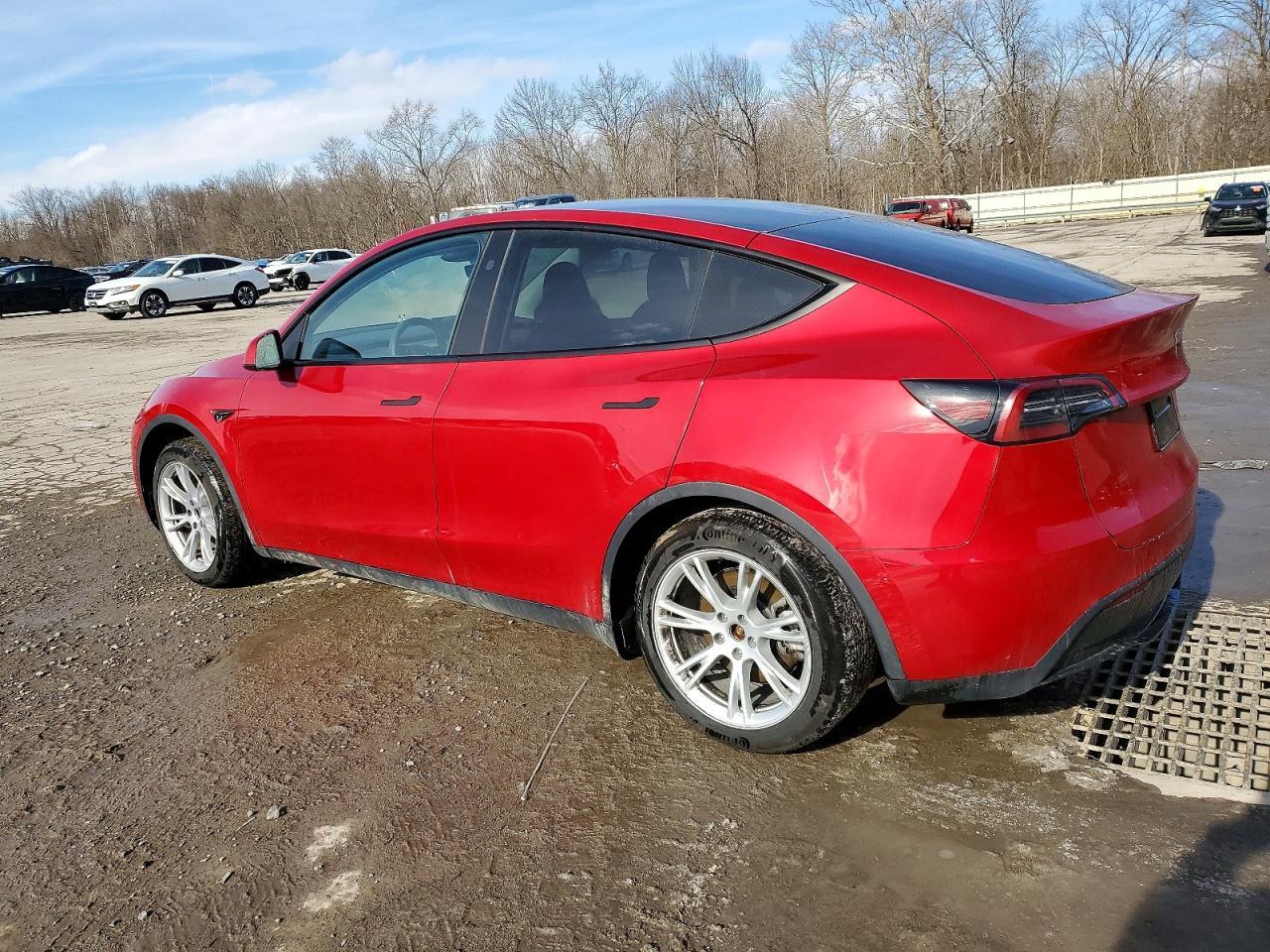 2023 Tesla Model Y - Фото 2