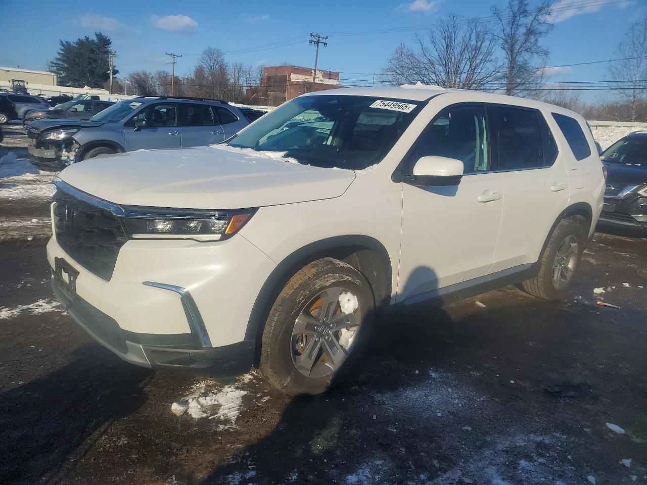 2024 Honda Pilot Exl