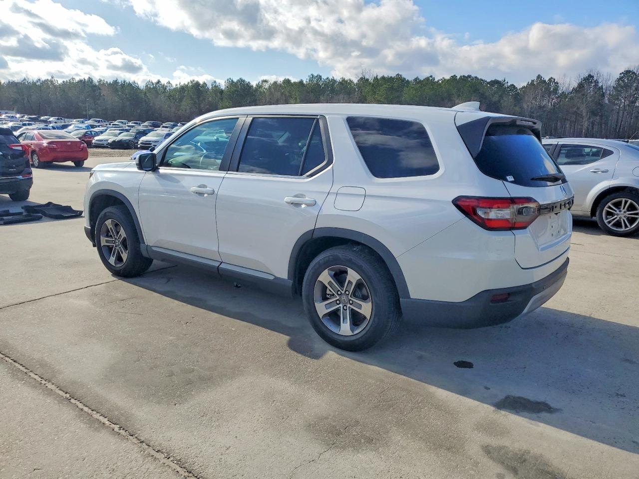 2024 Honda Pilot Exl - Фото 2