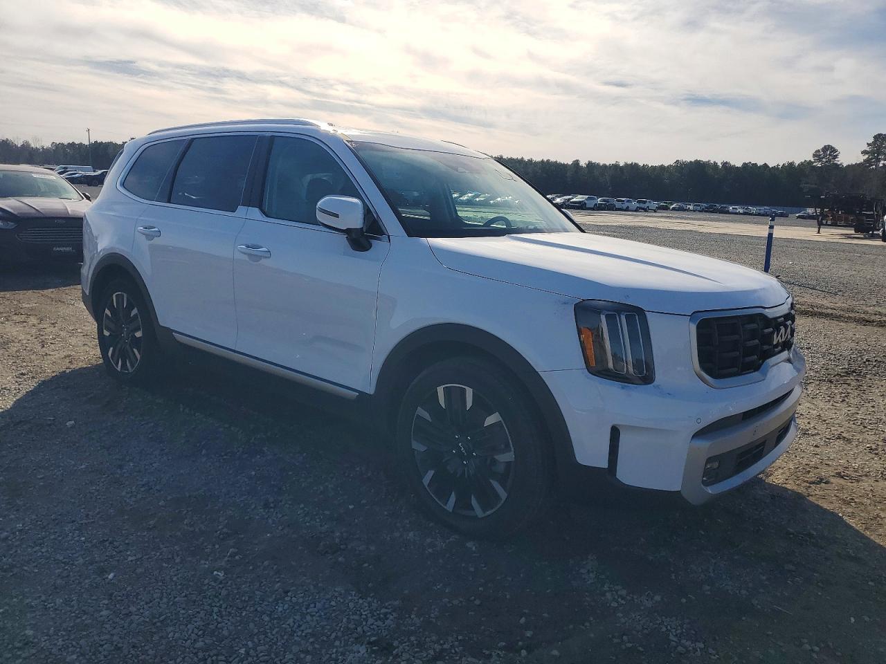 2024 Kia Telluride Sx - Фото 4