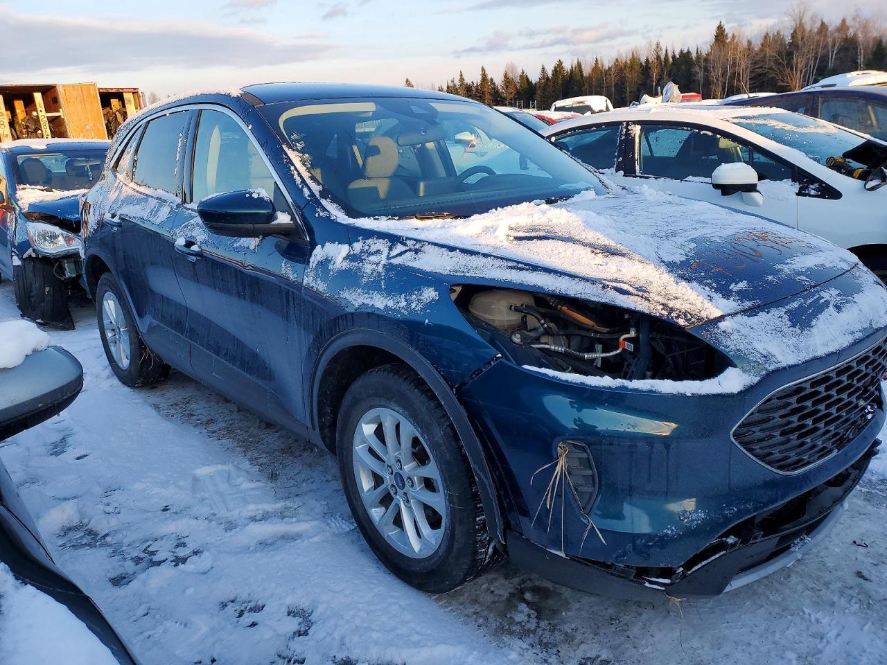 2020 Ford Escape Se - Image 4