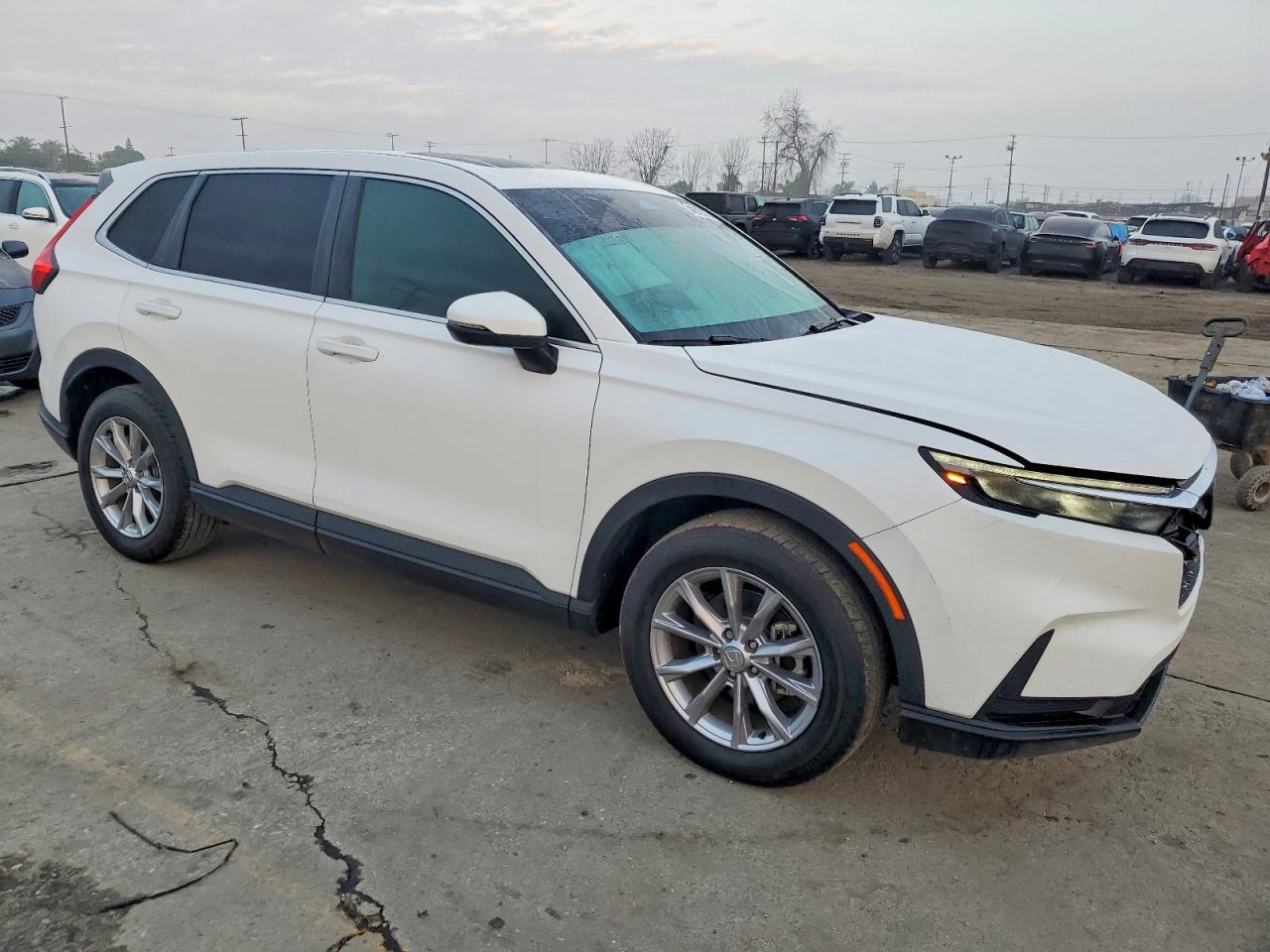 2024 Honda Cr-V Ex - Фото 4
