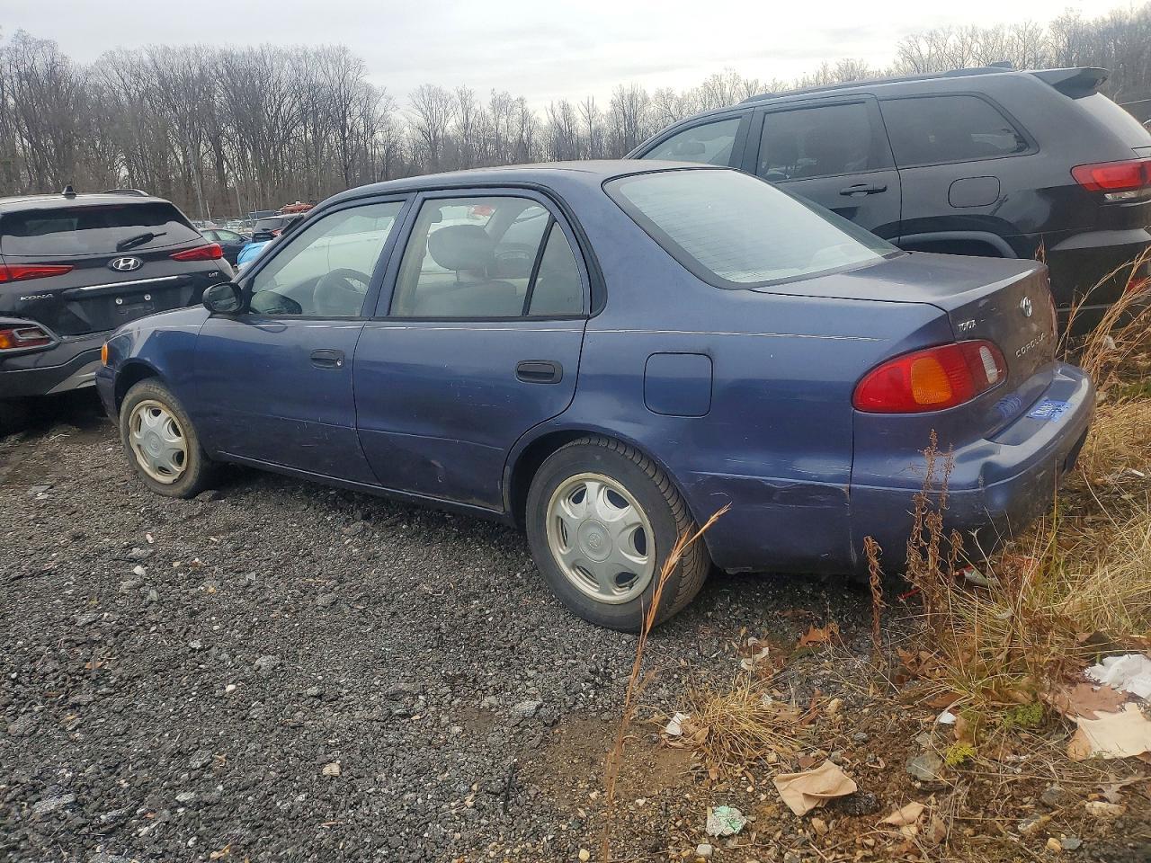 1999 Toyota Corolla - Фото 2