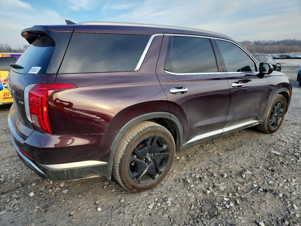 2024 Hyundai Palisade Sel Premium - Фото 3