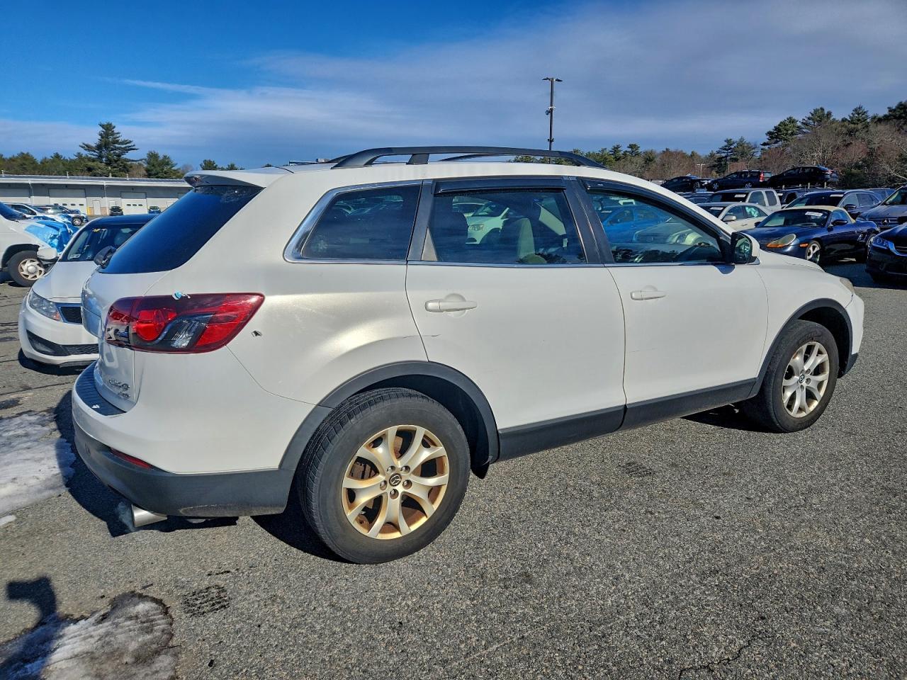 2013 Mazda Cx-9 Sport - Фото 3