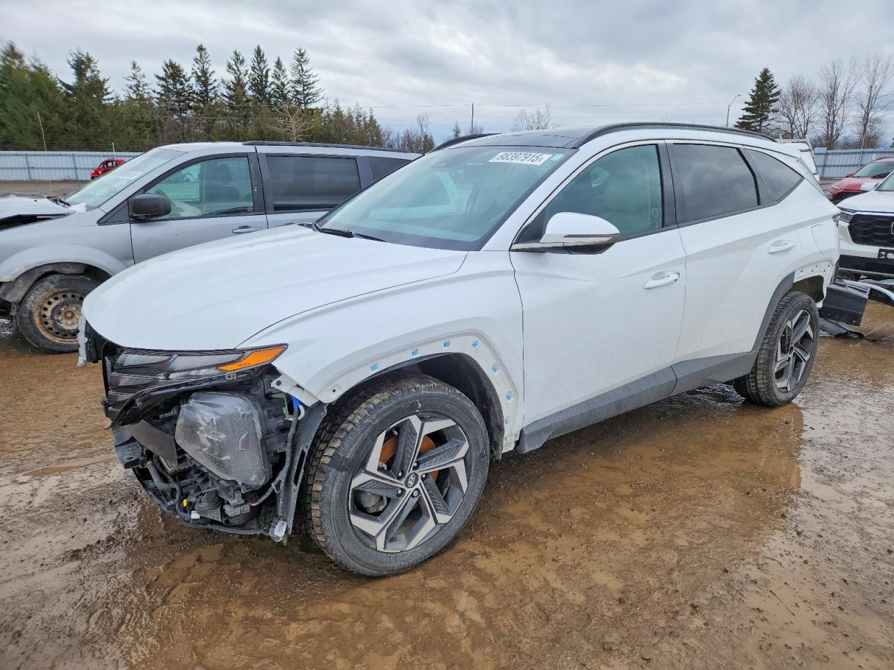 2024 Hyundai Tucson Sel Convenience