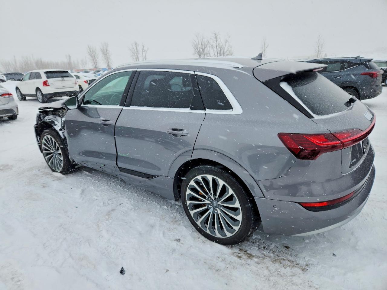 2019 Audi E-Tron Prestige - Фото 2
