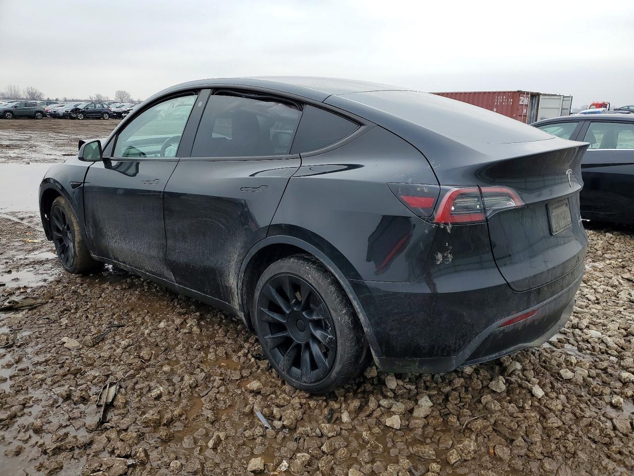 2023 Tesla Model Y - Фото 2