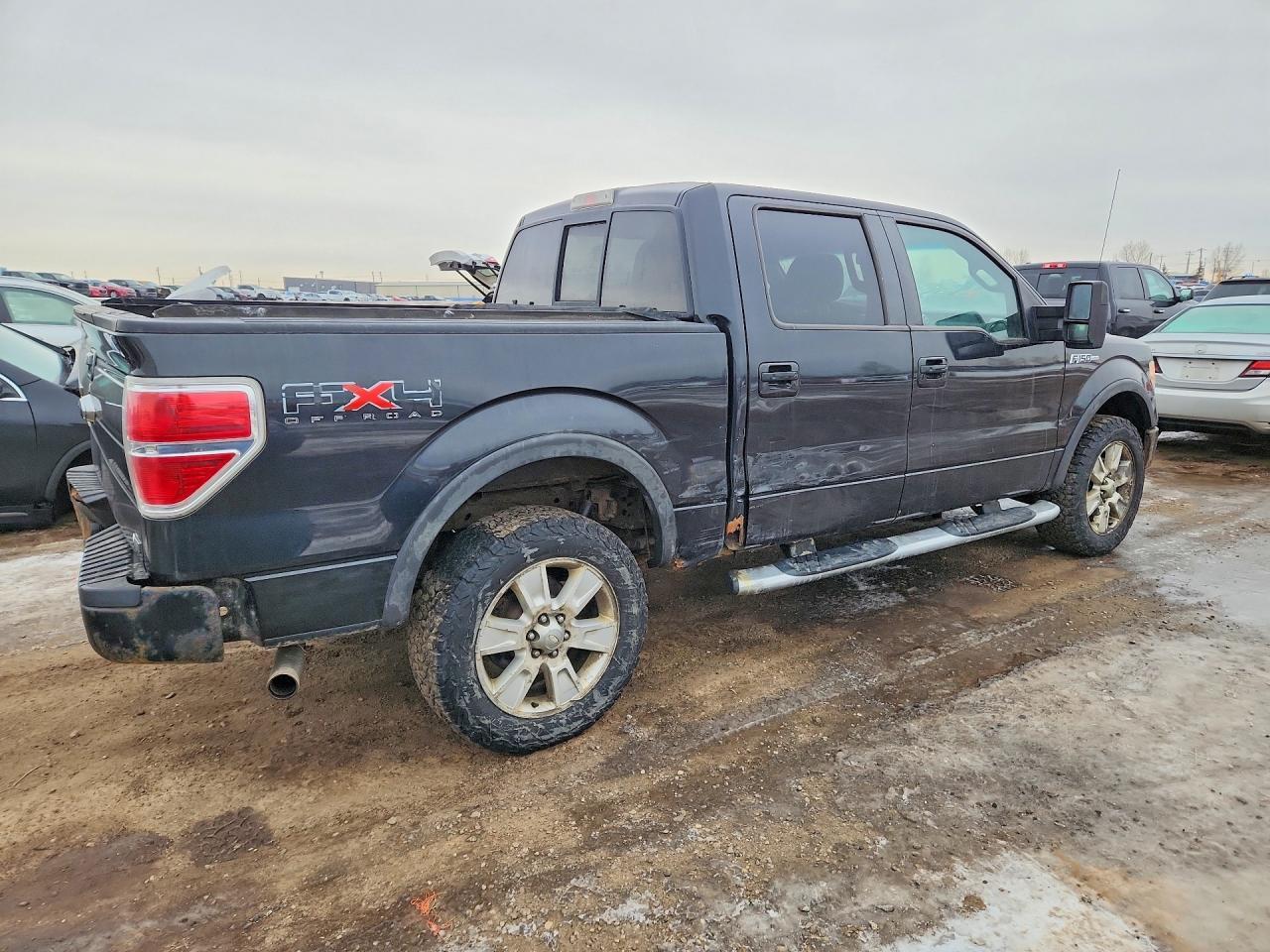 2010 Ford F150 Supercrew - Фото 3