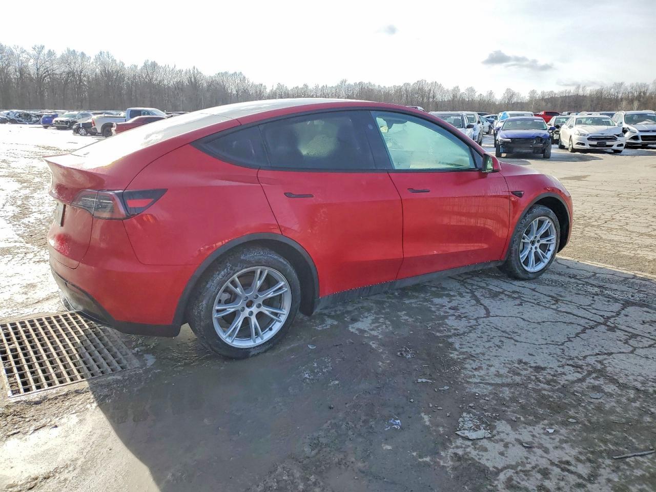 2023 Tesla Model Y - Фото 3