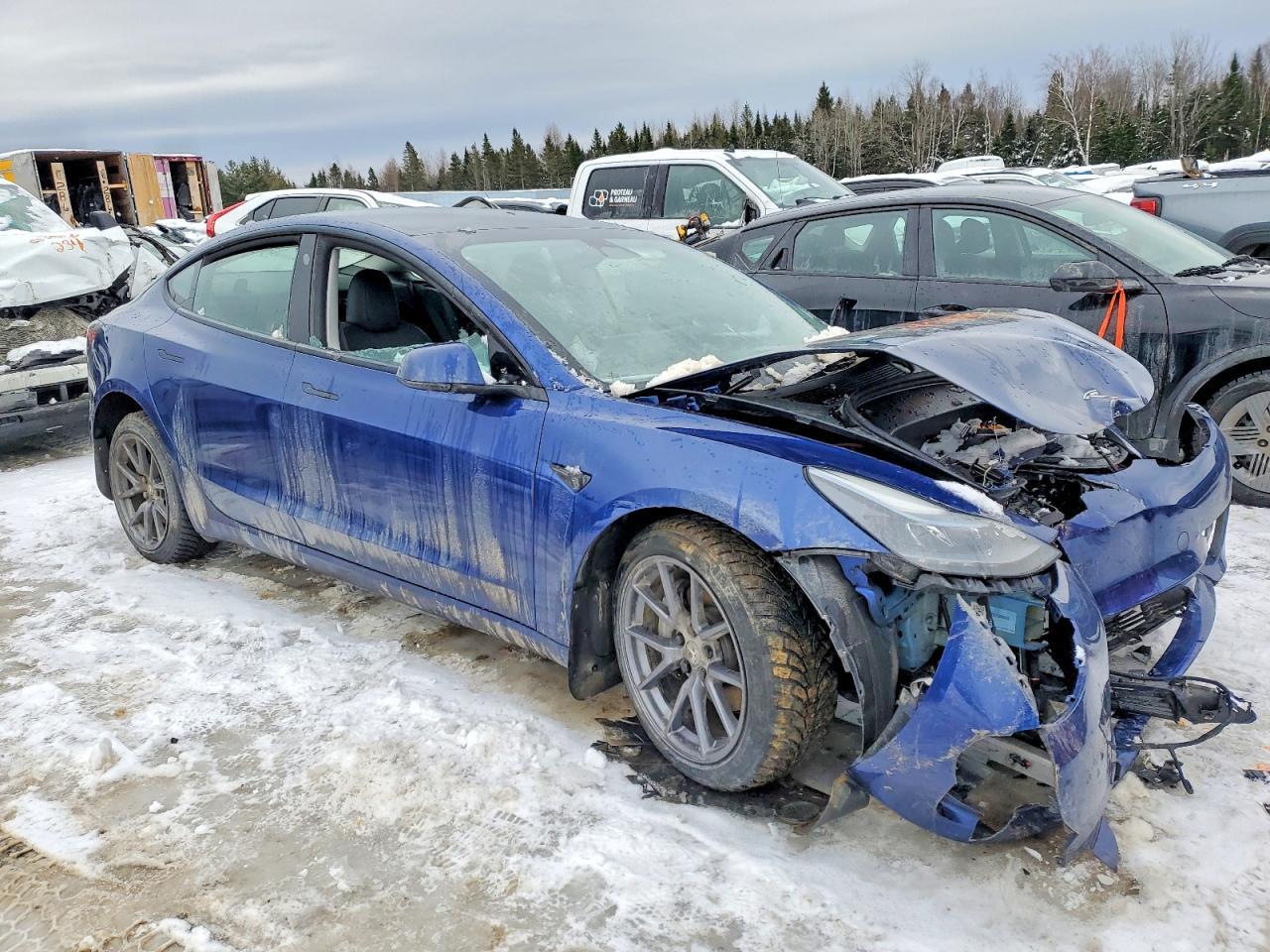 2023 Tesla Model 3 - Фото 4