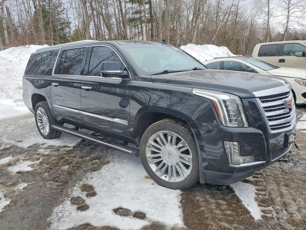 2016 Cadillac Escalade Esv Platinum - Image 4