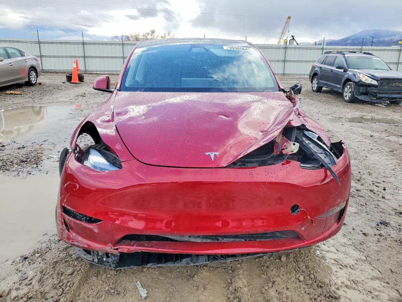 2024 Tesla Model Y - Фото 5