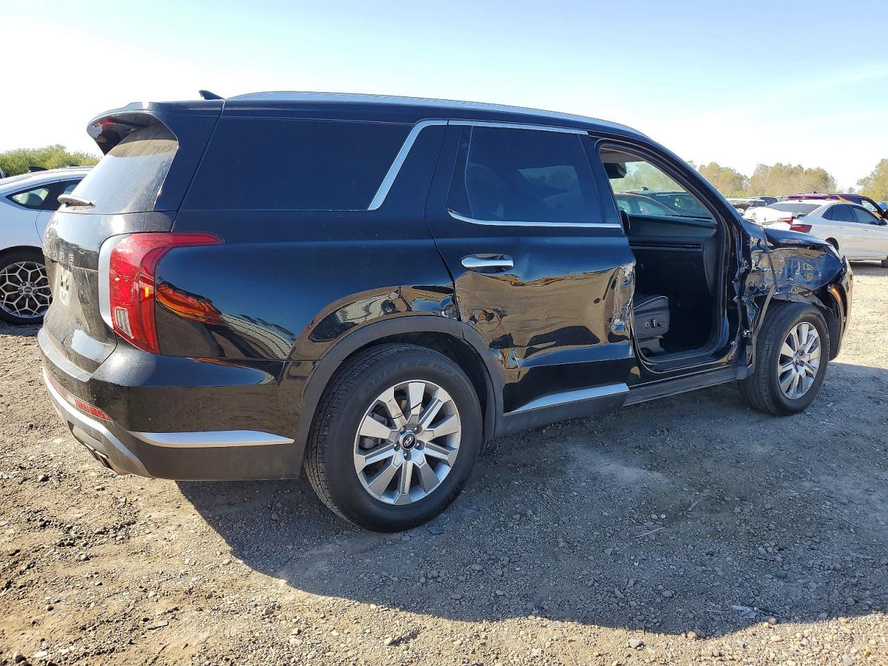 2024 Hyundai Palisade Sel - Фото 3