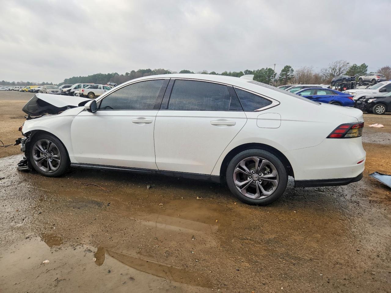 2023 Honda Accord Ex - Image 2