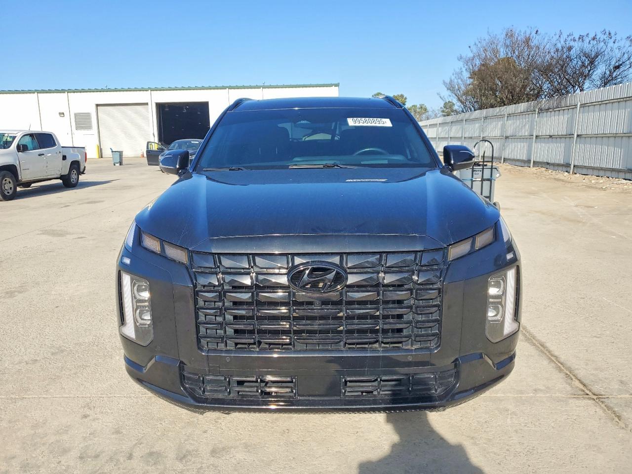 2024 Hyundai Palisade Calligraphy - Фото 5