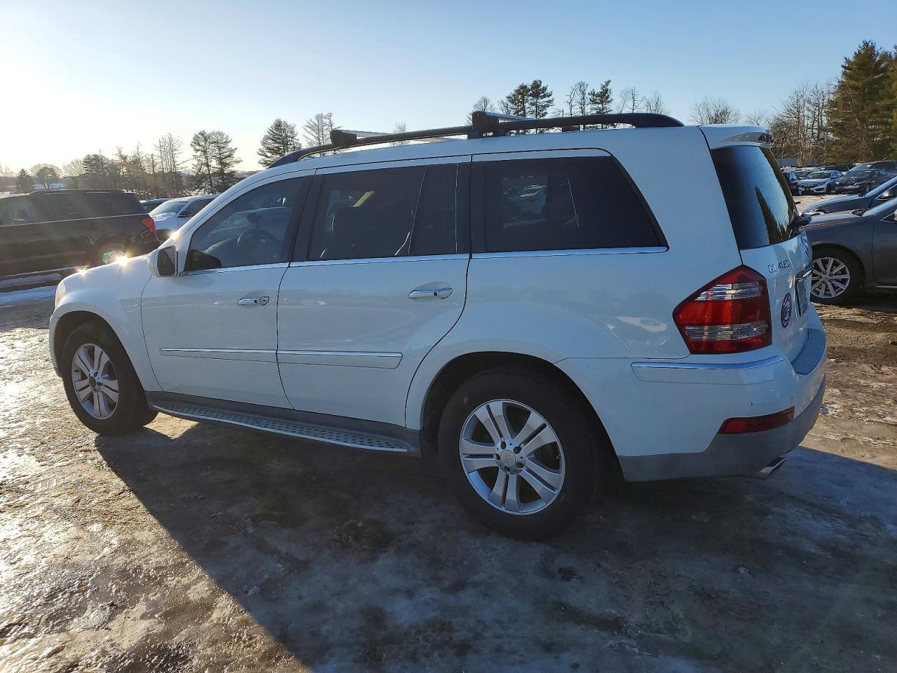 2009 Mercedes-Benz Gl 450 4Matic - Фото 2