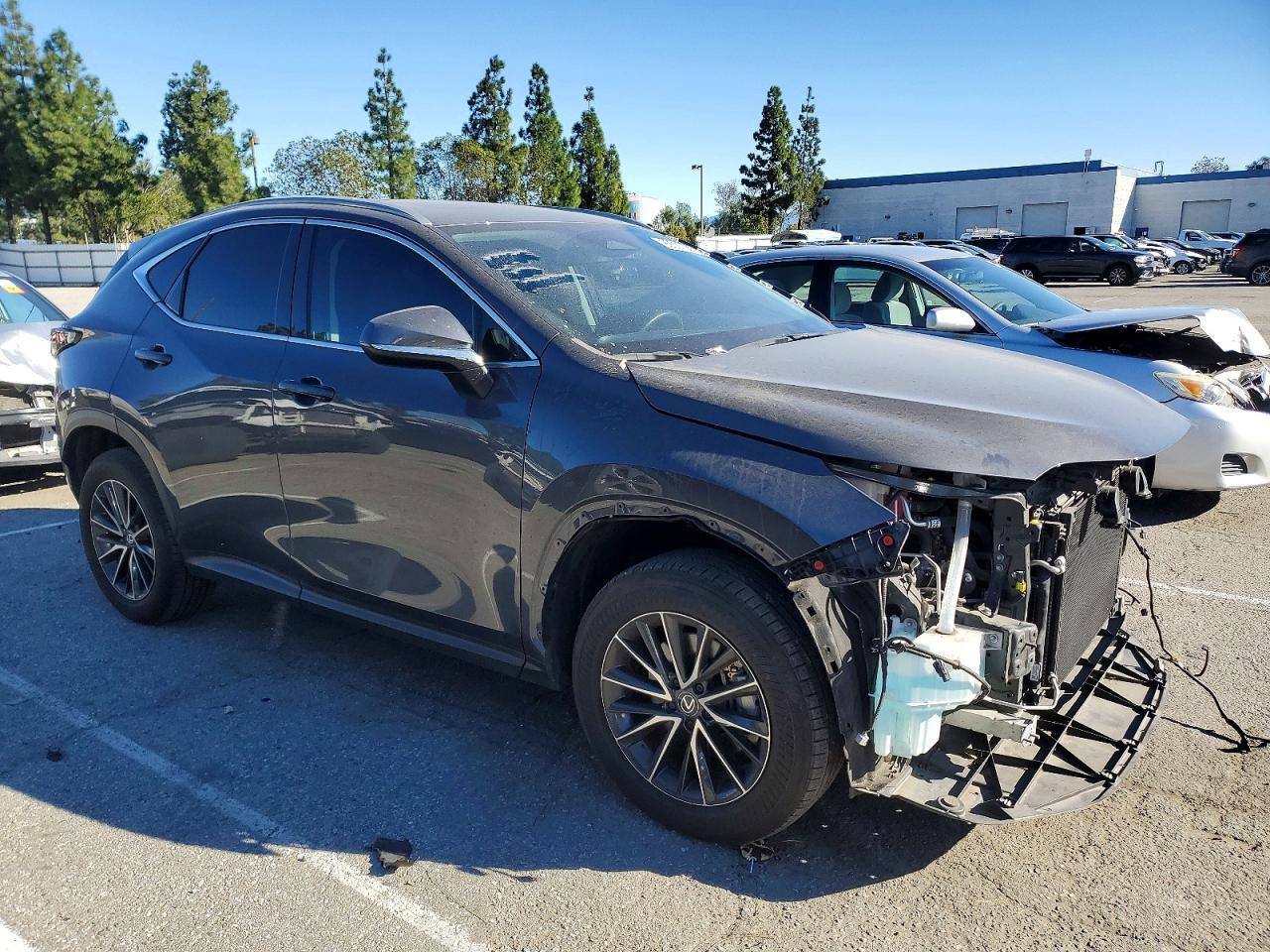 2024 Lexus Nx 350 Base - Фото 4
