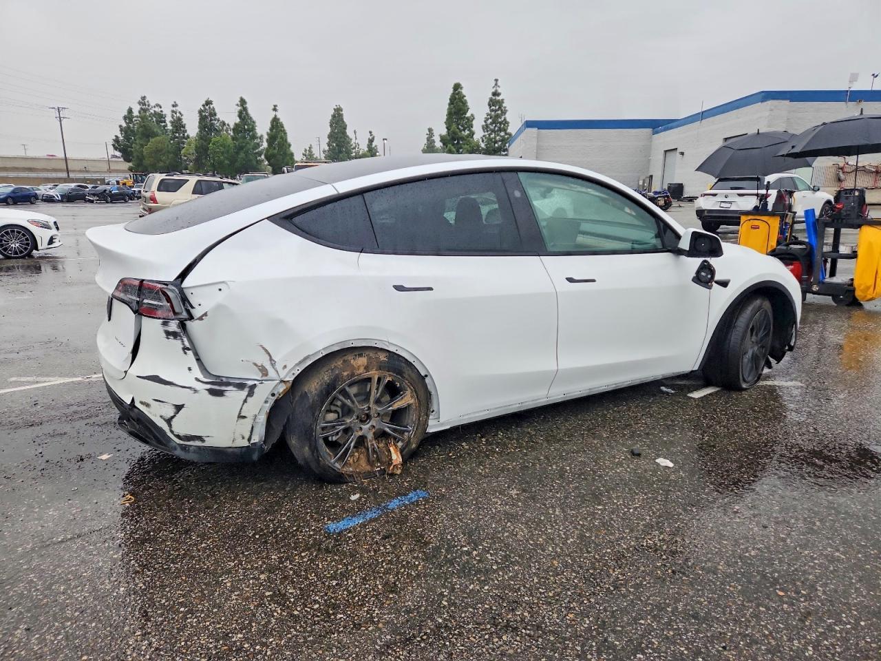 2024 Tesla Model Y - Image 3