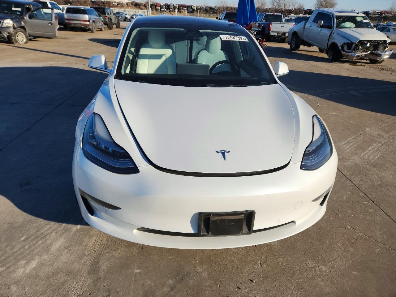 2019 Tesla Model 3 - Фото 5