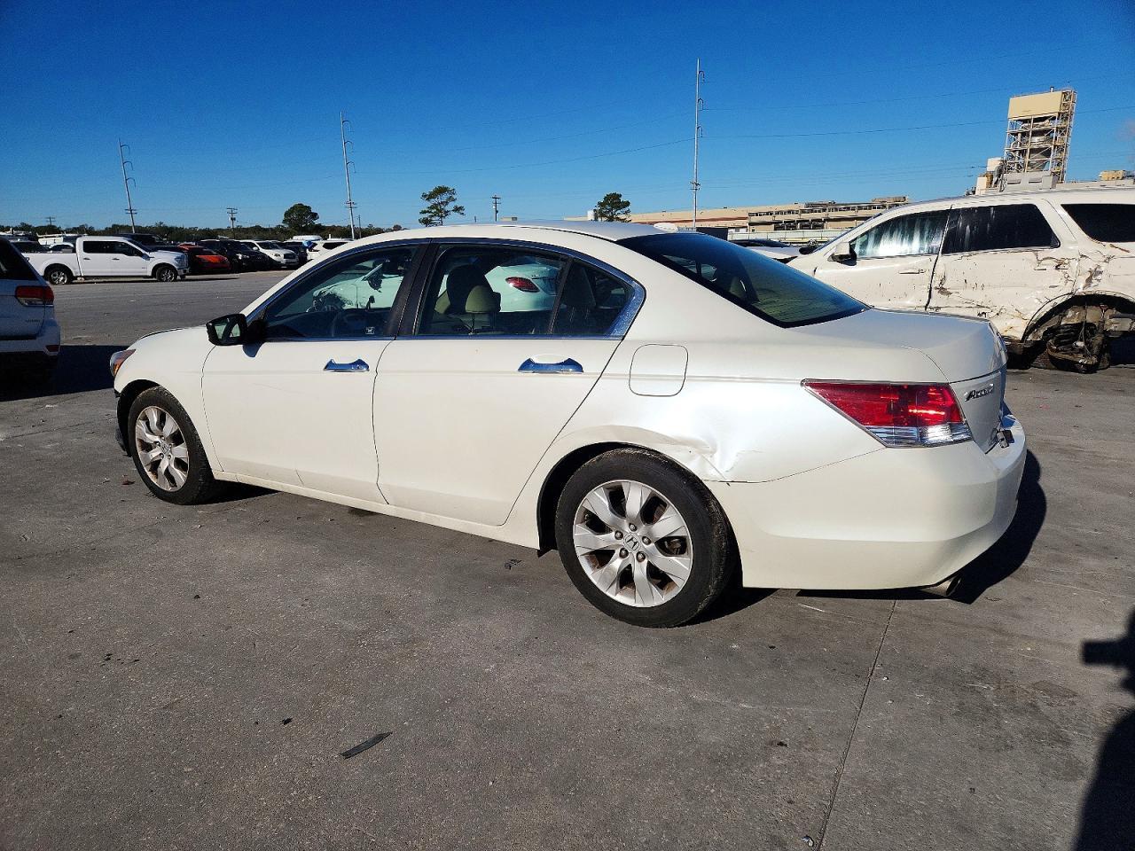 2010 Honda Accord Exl - Image 2